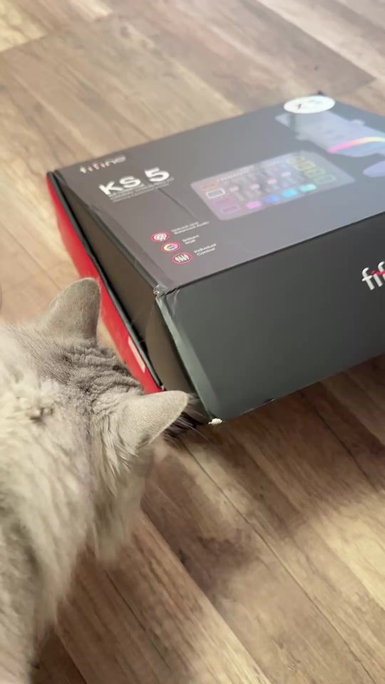 TikTok video thumbnail by pe.20