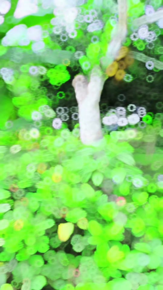 TikTok video thumbnail by antor.official.22