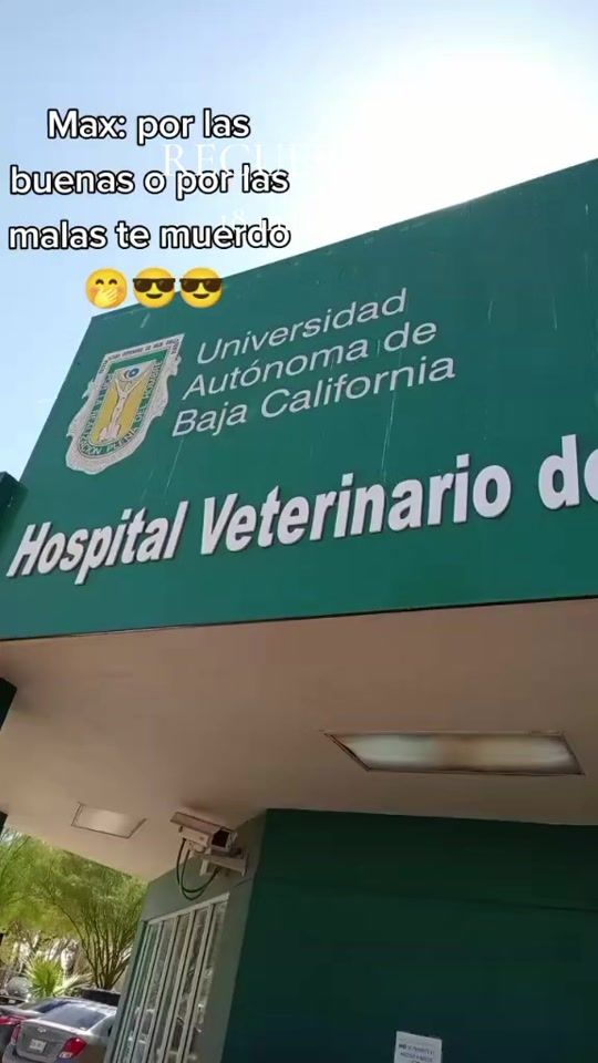 TikTok video thumbnail by maxymagda