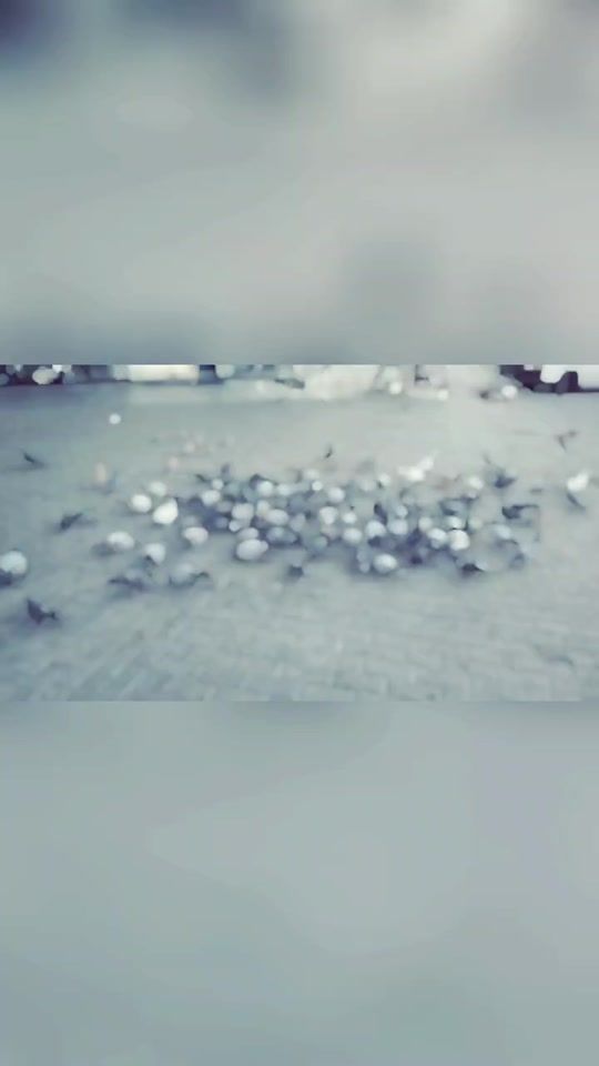TikTok video thumbnail by viha11117
