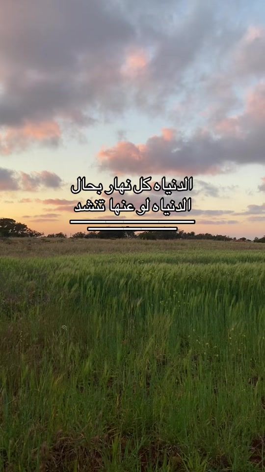 TikTok video thumbnail by _____________________gj