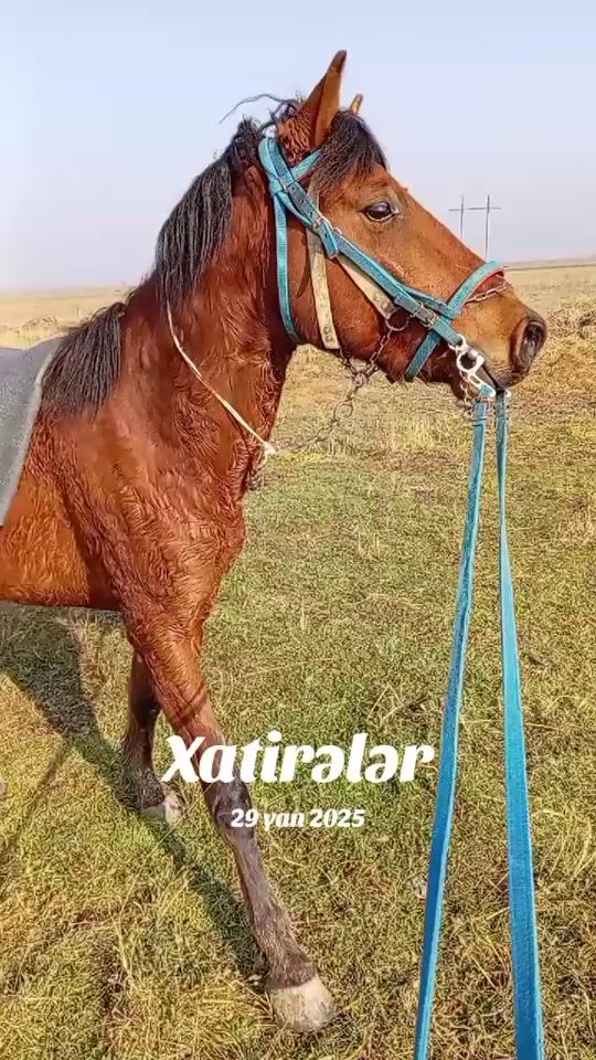 TikTok video thumbnail by ilkin__terterli