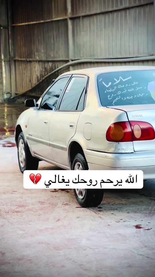 TikTok video thumbnail by sameh_abo_shekha