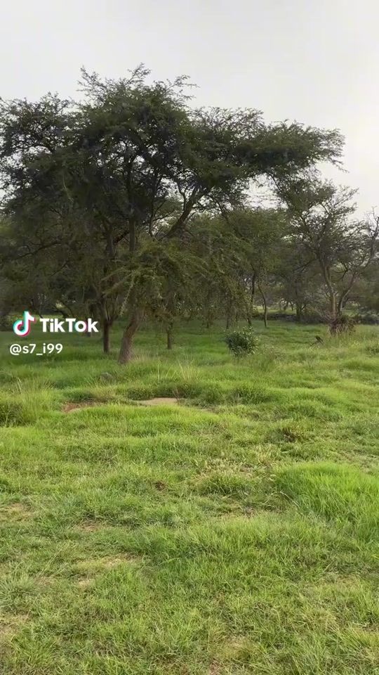 TikTok video thumbnail by balkissa064