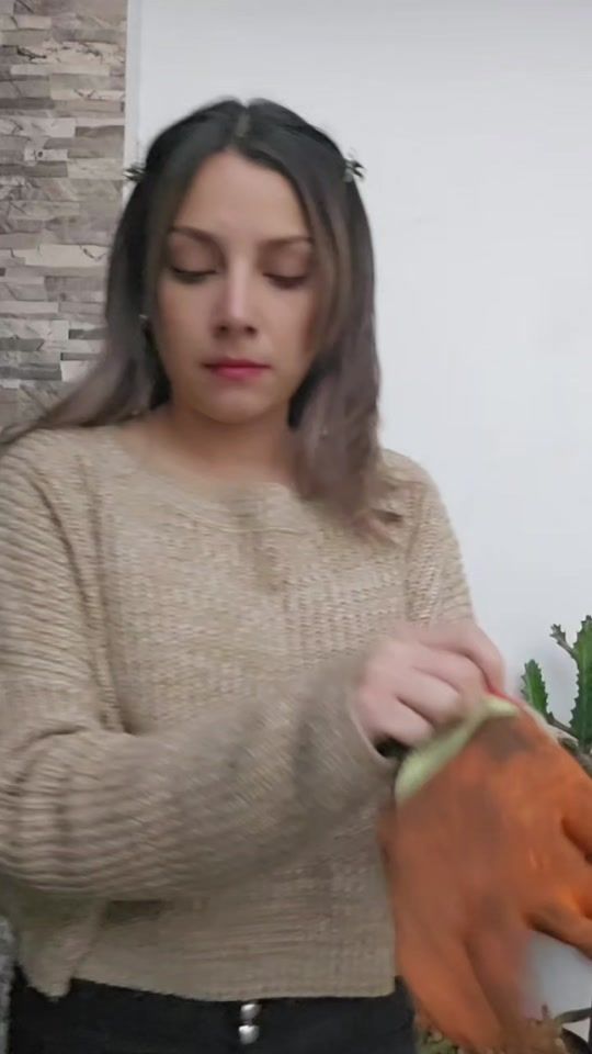 TikTok video thumbnail by soyyoshygt