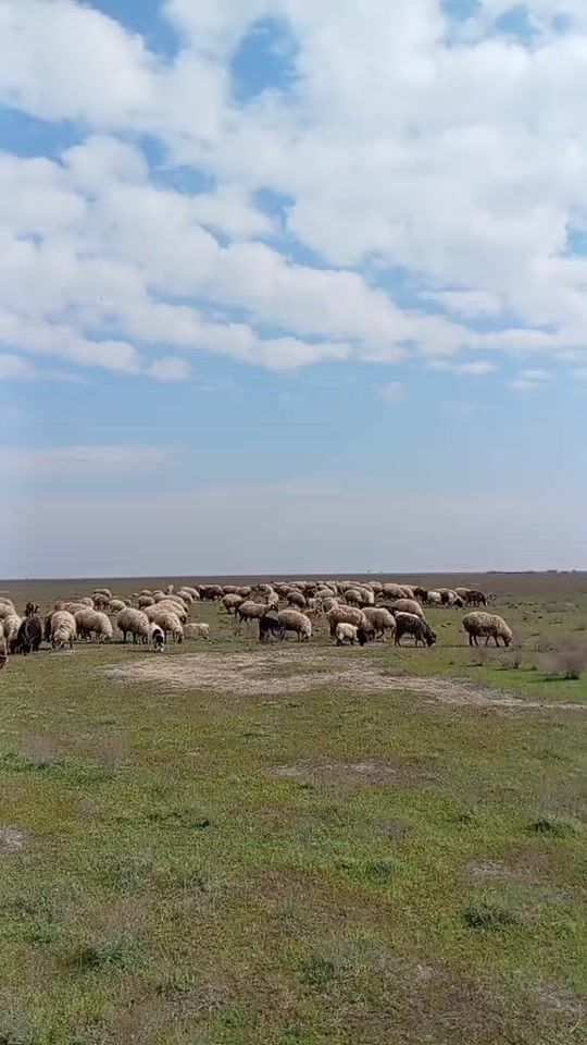 TikTok video thumbnail by senan_0065