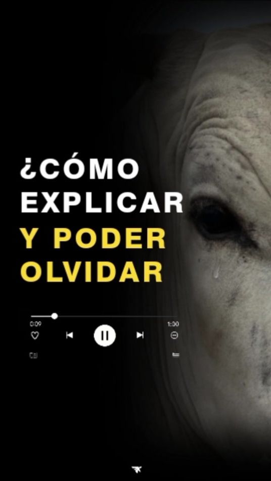 TikTok video thumbnail by _rfmusic