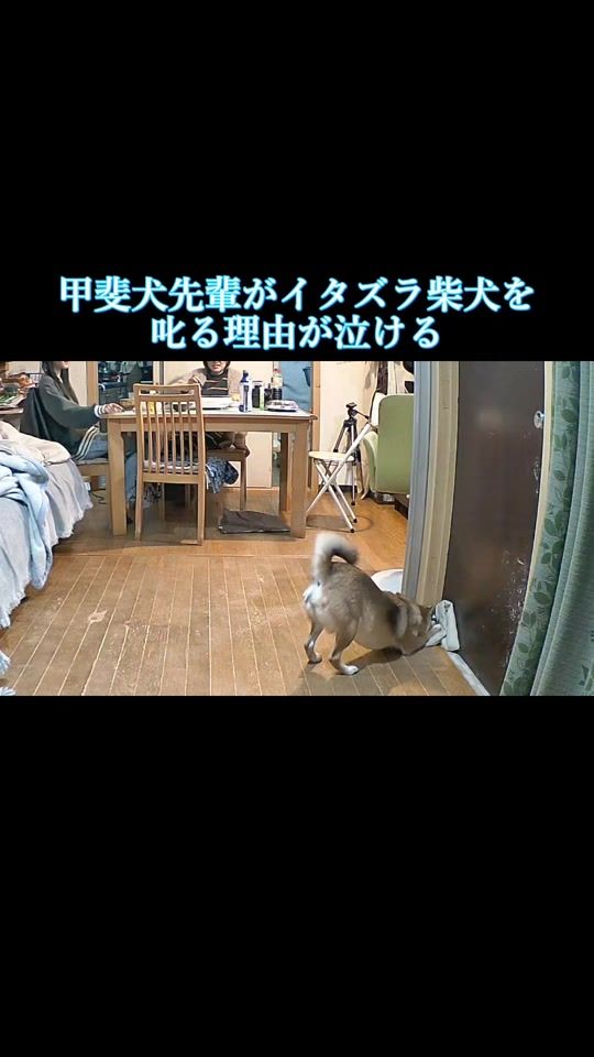 TikTok video thumbnail by saworu0820