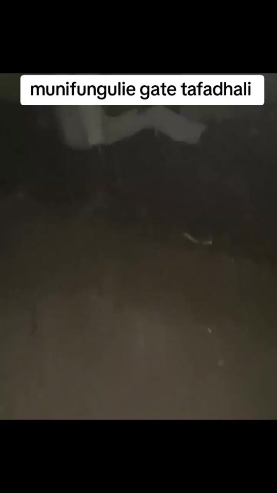 TikTok video thumbnail by mlevichakari