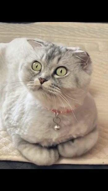 TikTok video thumbnail by kokofier
