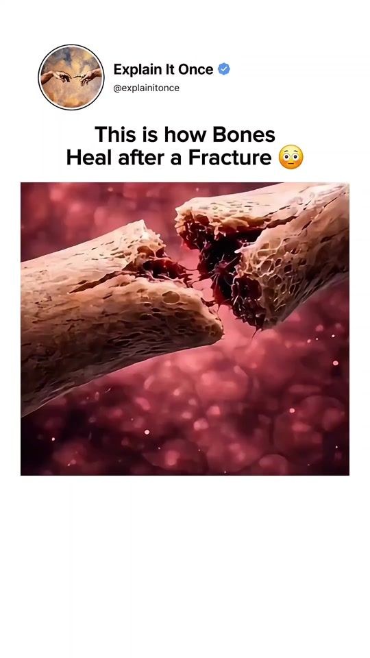 TikTok video thumbnail by ofc_curiosityx