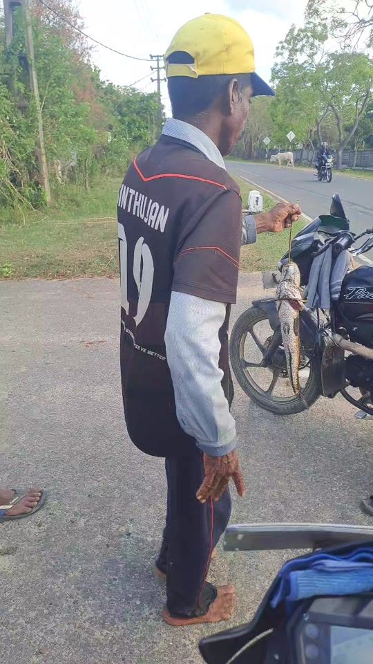 TikTok video thumbnail by arulampalam.varat