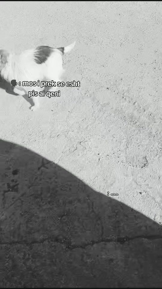 TikTok video thumbnail by skomnerva2