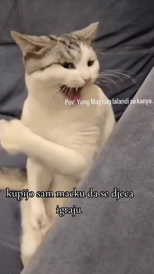 TikTok video thumbnail by alija_king_23