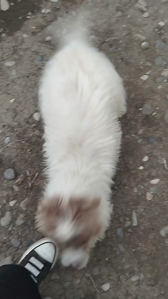 TikTok video thumbnail by 59lamiye59