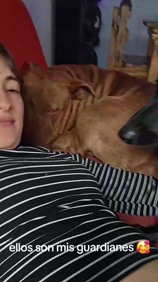 TikTok video thumbnail by analabrea23