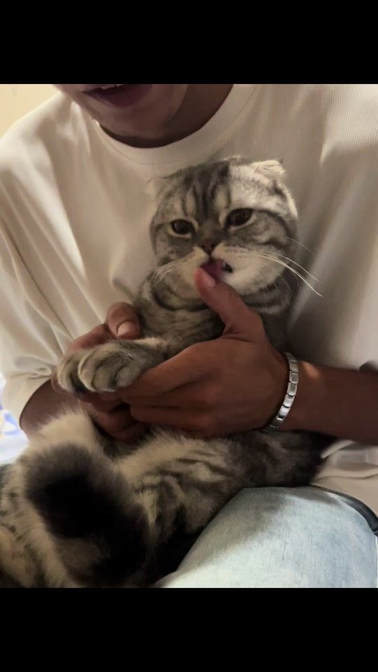 TikTok video thumbnail by mosuliii_