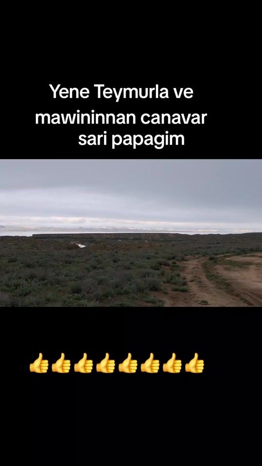 TikTok video thumbnail by ramin79qafarov