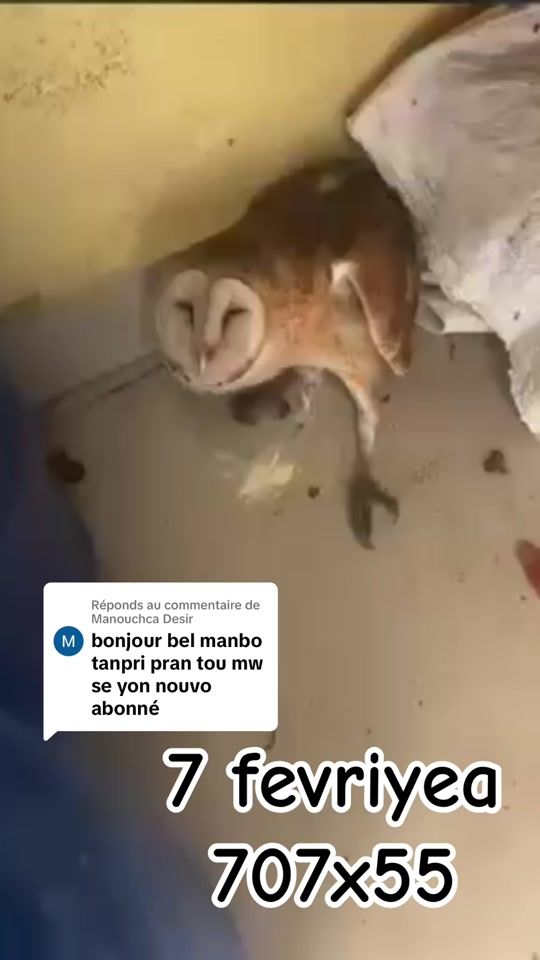 TikTok video thumbnail by manboalta1