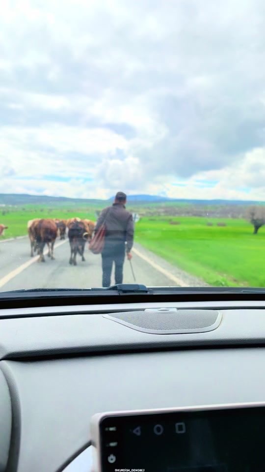 TikTok video thumbnail by kurdish_dengbej