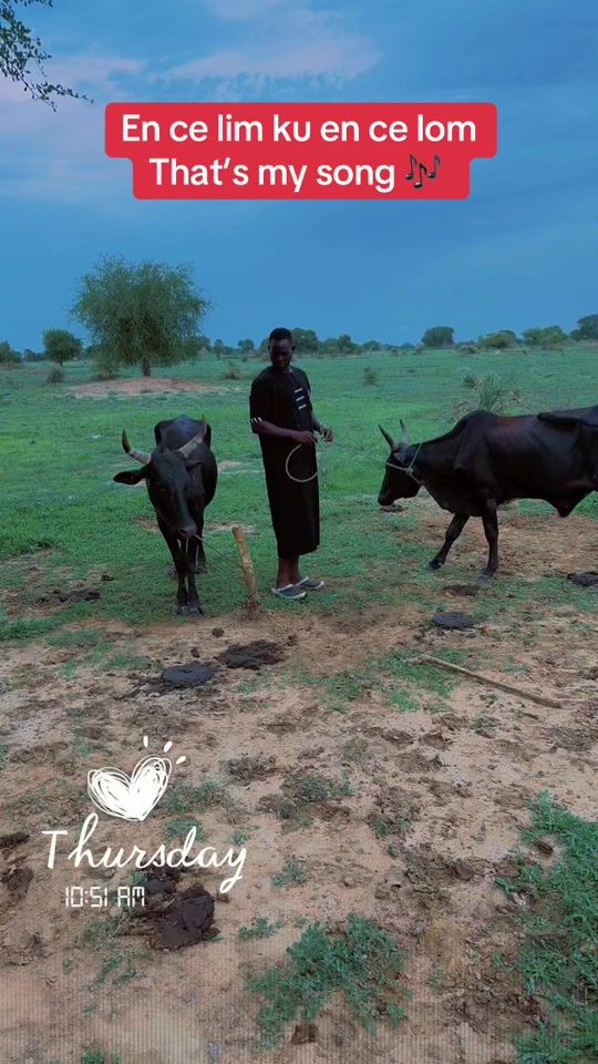 TikTok video thumbnail by camronringo