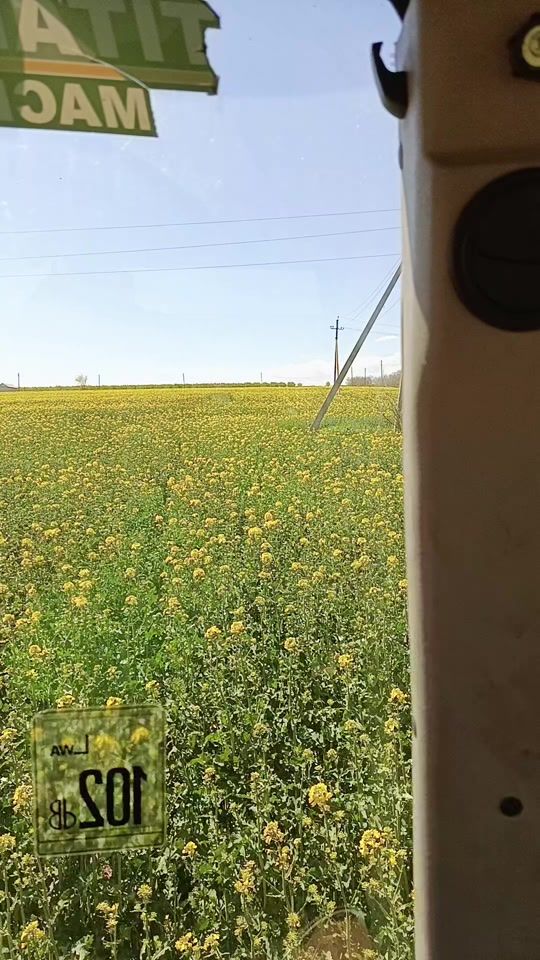 TikTok video thumbnail by grinco.igor