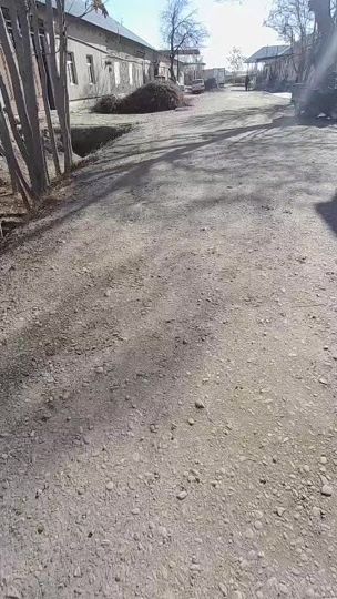 TikTok video thumbnail by buxara95