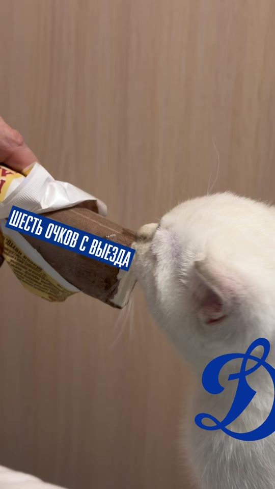TikTok video thumbnail by dynamo.ru