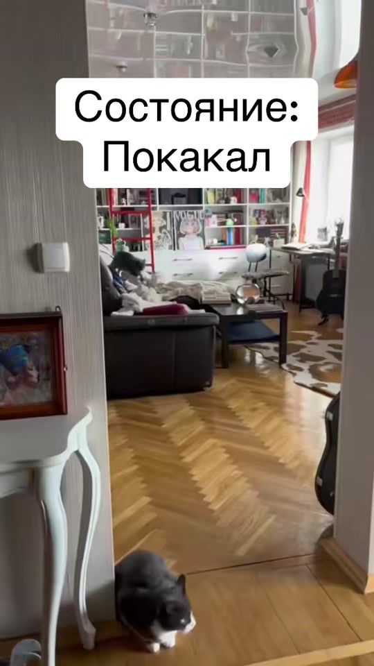 TikTok video thumbnail by cat_grunge