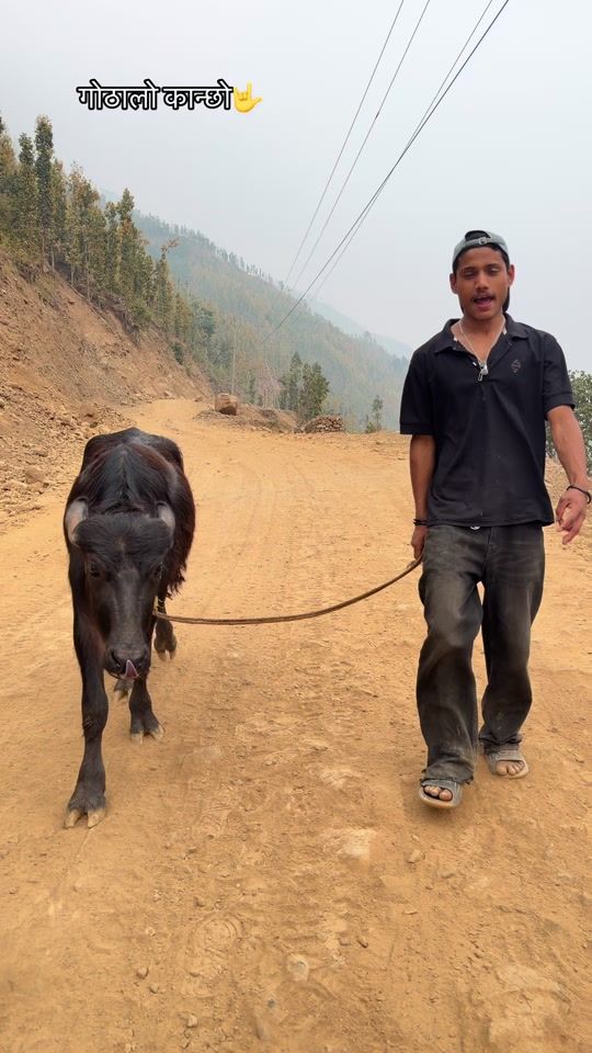 TikTok video thumbnail by amritvlog02