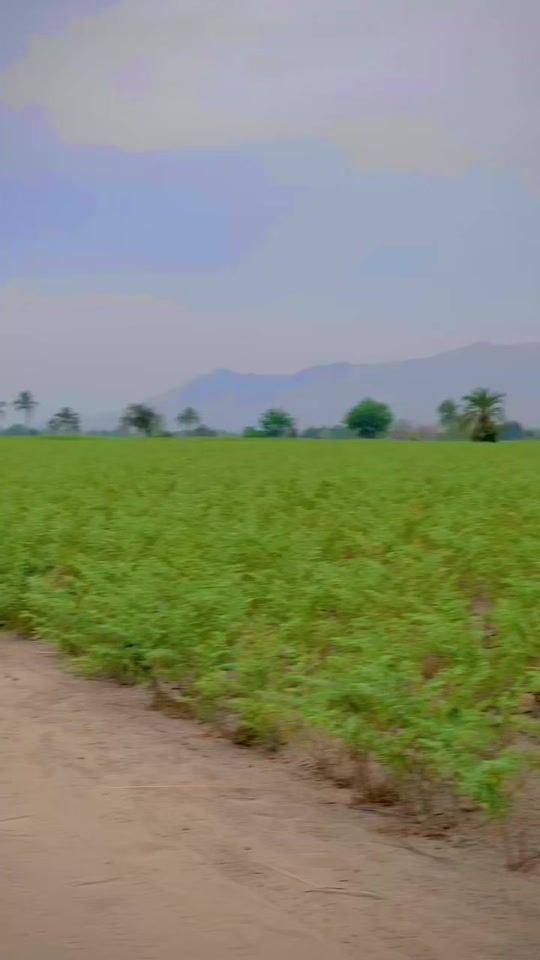 TikTok video thumbnail by sami__khan__55