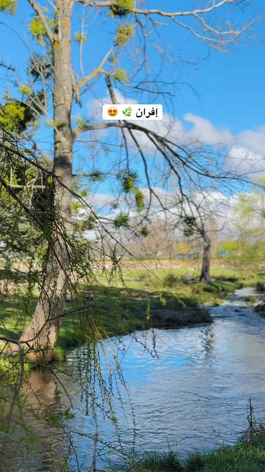 TikTok video thumbnail by ifrane_city_23