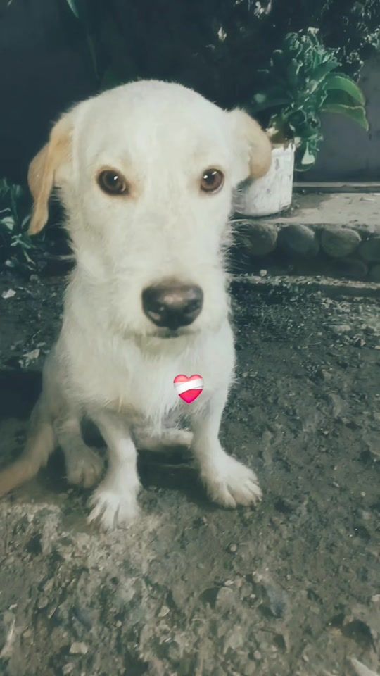 TikTok video thumbnail by loby018