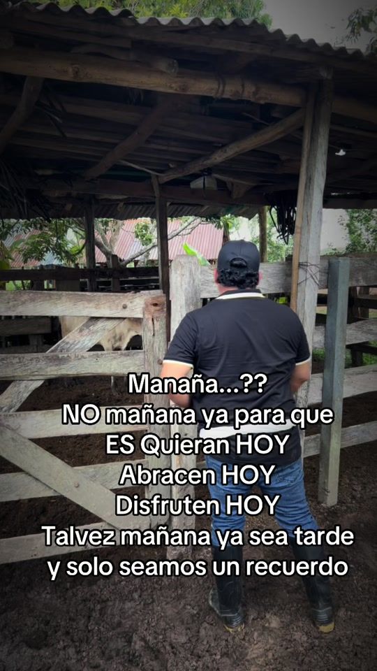 TikTok video thumbnail by jorge_mendoza____