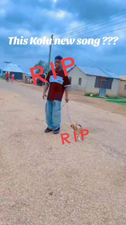 TikTok video thumbnail by abedidangote