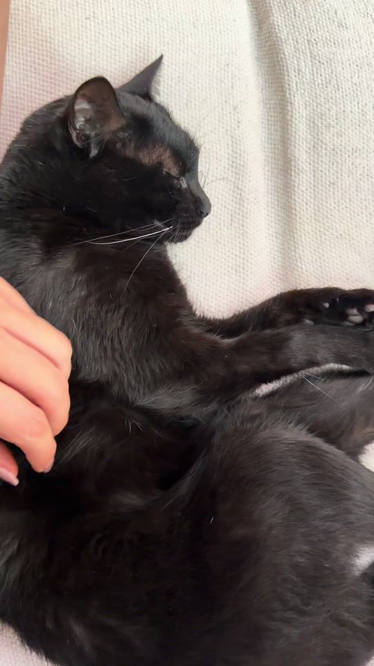 TikTok video thumbnail by ana.queirozz