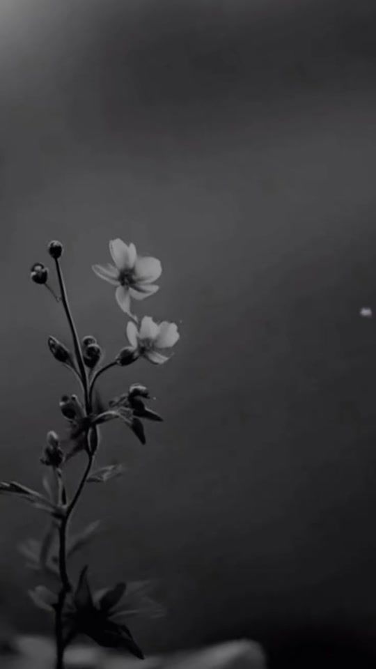 TikTok video thumbnail by mood67279