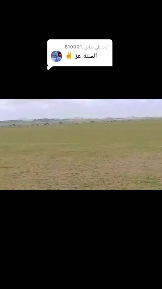 TikTok video thumbnail by user6163669160657