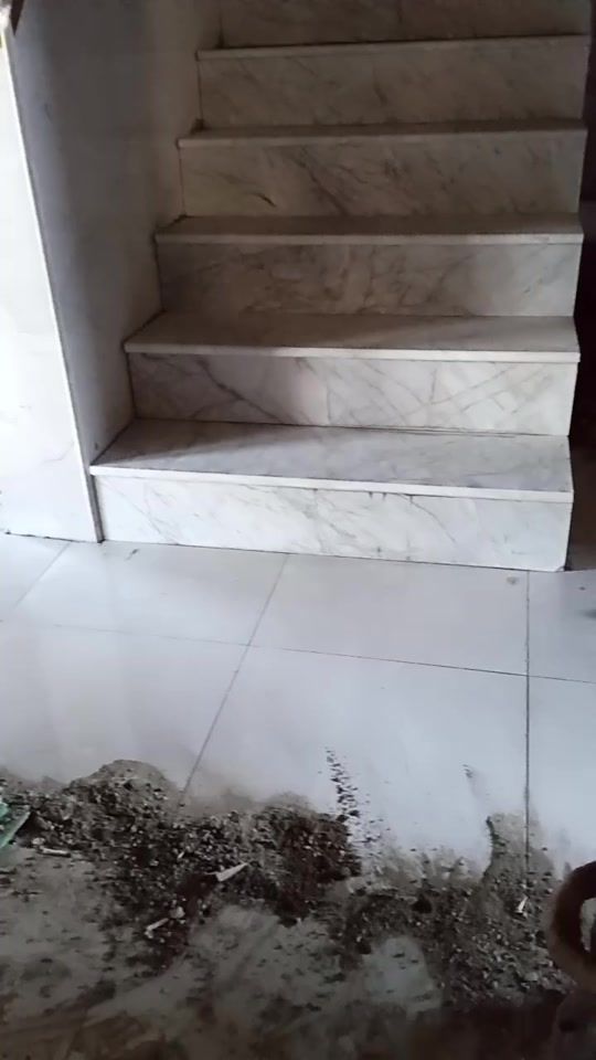 TikTok video thumbnail by h_ss69