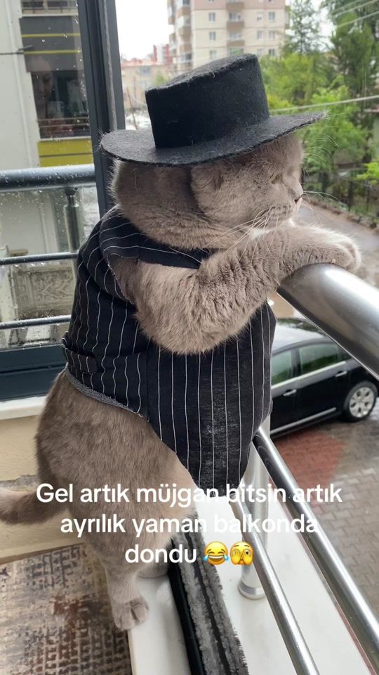 TikTok video thumbnail by yamanbey380