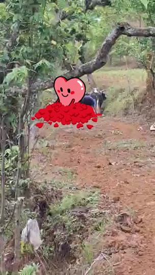 TikTok video thumbnail by j.....thapa