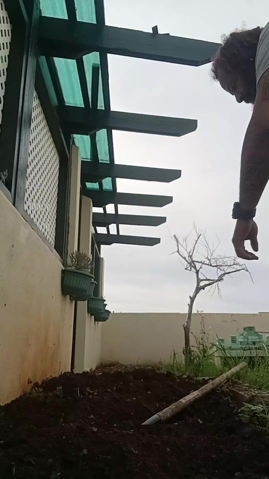 TikTok video thumbnail by hash1378