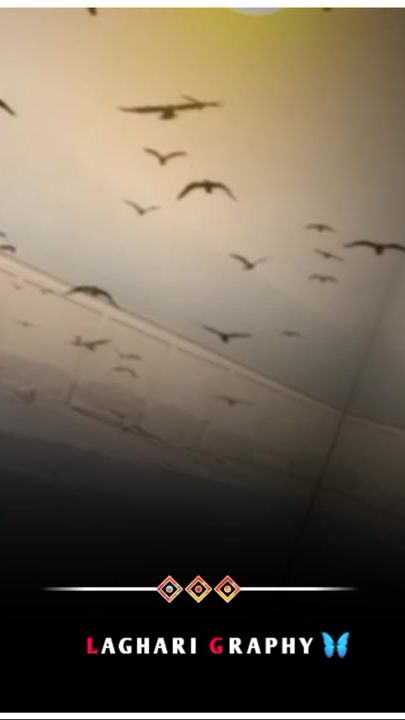 TikTok video thumbnail by love.s972