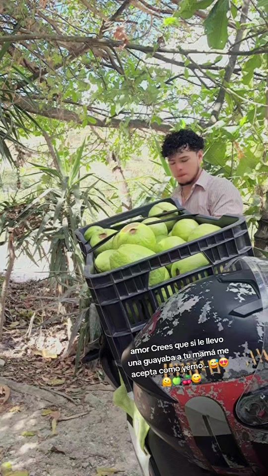 TikTok video thumbnail by user5074992660025k