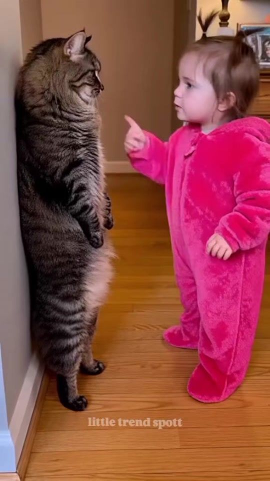 TikTok video thumbnail by rama32523