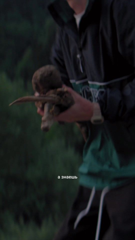TikTok video thumbnail by dabro_music