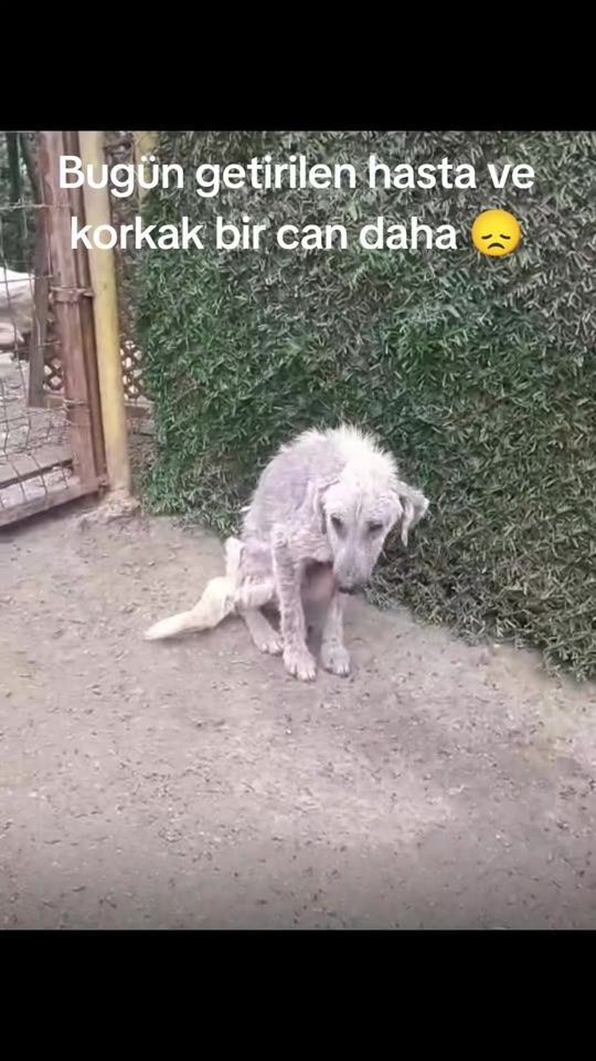 TikTok video thumbnail by inci_mm_1
