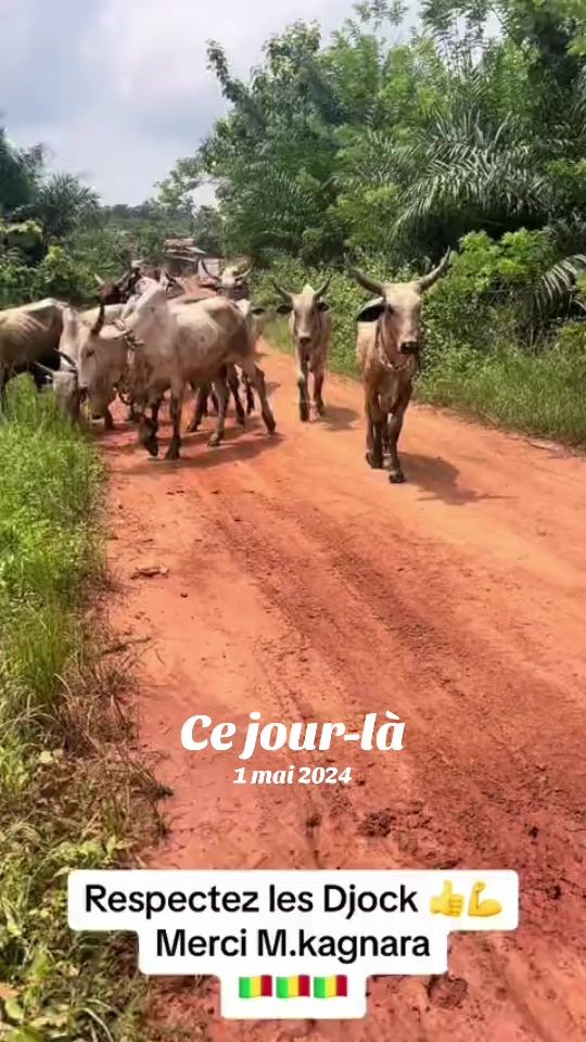 TikTok video thumbnail by daniel.bert4