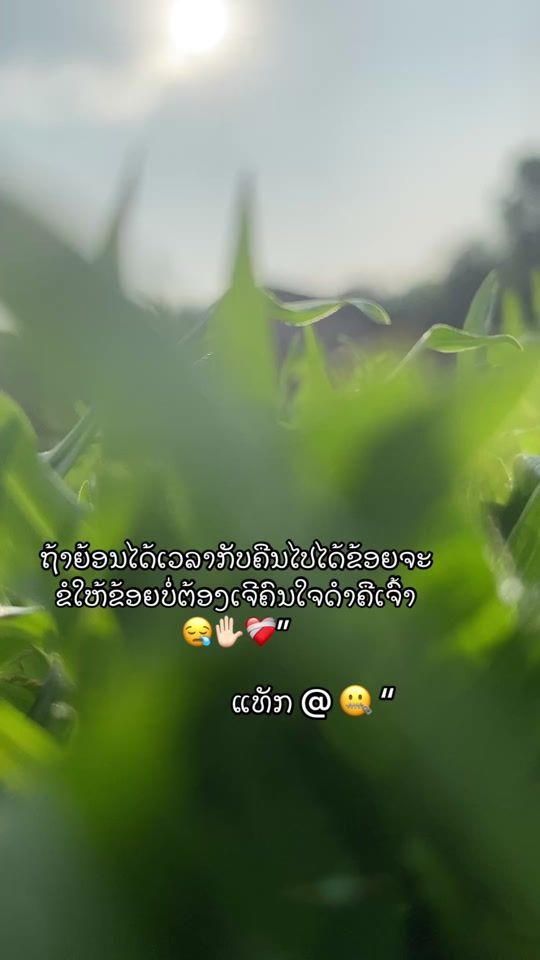 TikTok video thumbnail by .3.23.k