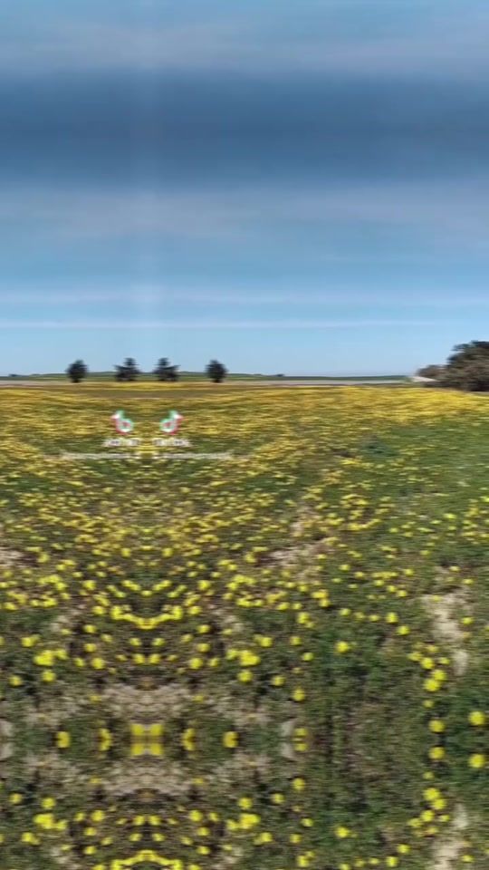 TikTok video thumbnail by amelhermassi0